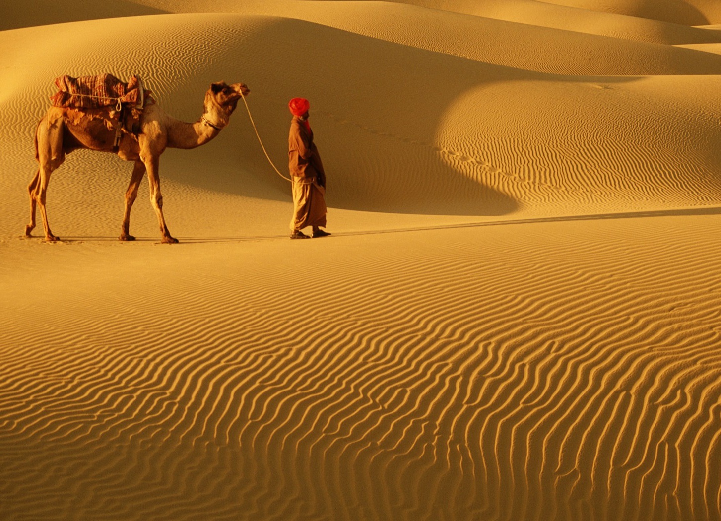 Top 5 Attractions To Enjoy In Rajasthan